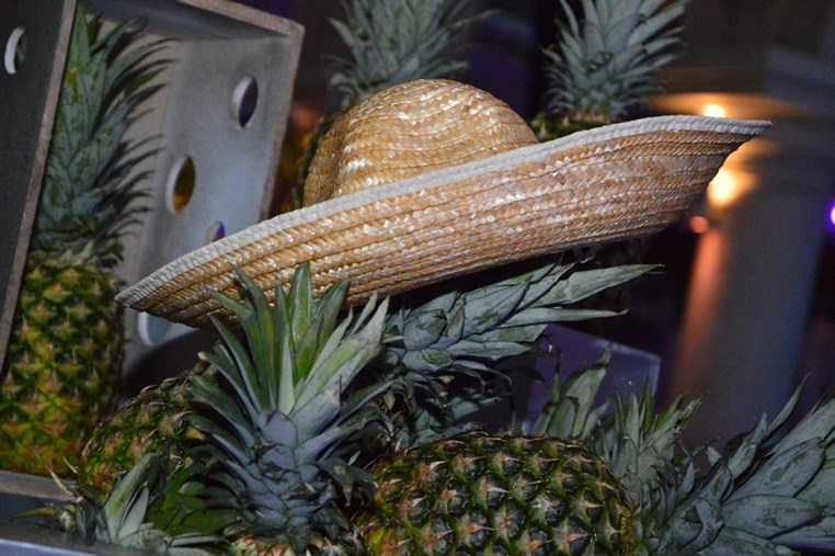 Amethyste Summer Party